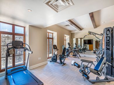 Telluride Condo 925495