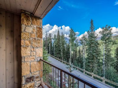 Telluride Condo 925495