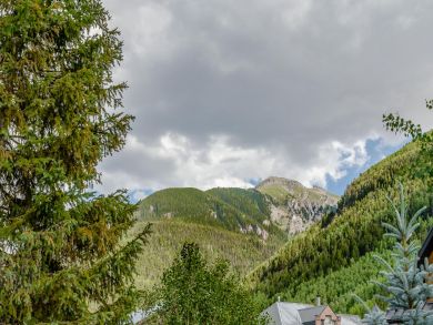 Telluride Home 925499 Telluride Home 925499