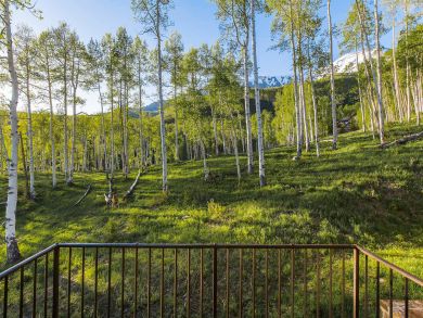 Telluride Home 925535