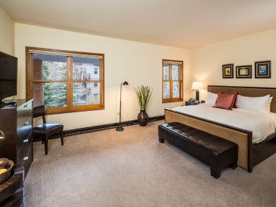 Telluride Condo 925543