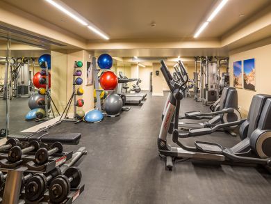 Telluride Condo 925543
