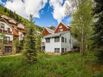 Telluride Condo 925543