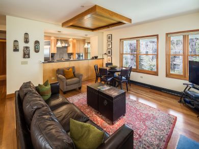 Telluride Condo 925543