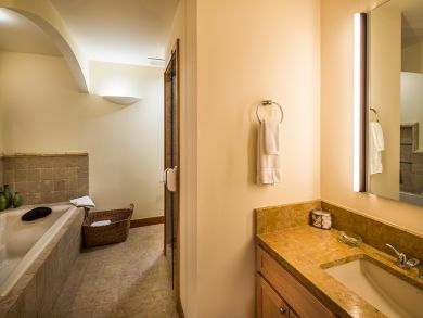 Telluride Condo 925543