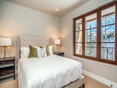 Telluride Condo 925544