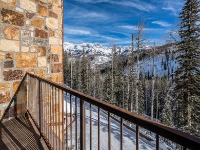 Telluride Condo 925544