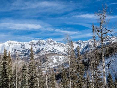 Telluride Condo 925544