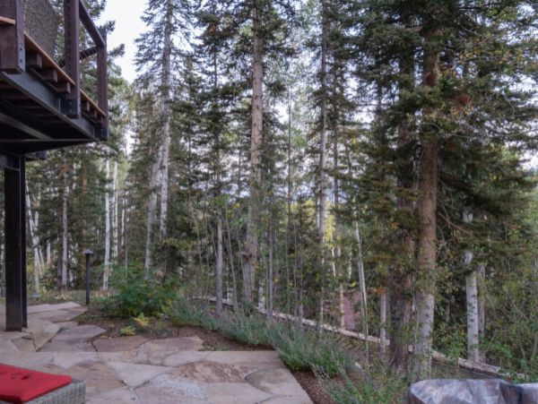 Mountain Village Walks to Ski Trail Five Bedroom Rental Home