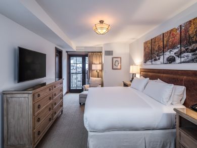Telluride Condo 925563