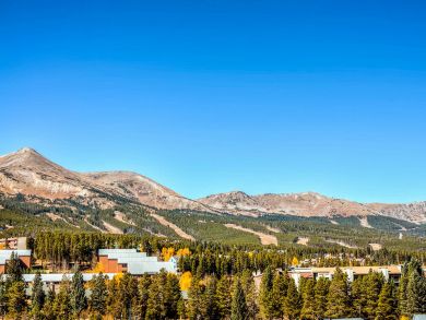 Breckenridge Condo 925565