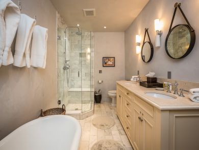 Telluride Condo 925585