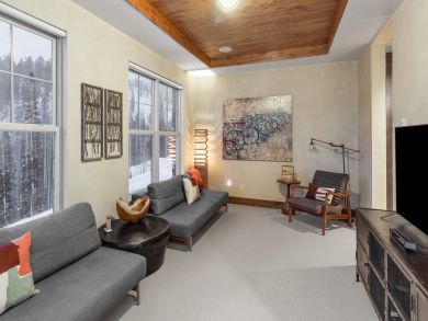 Telluride Condo 925590