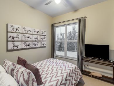 Telluride Condo 925590