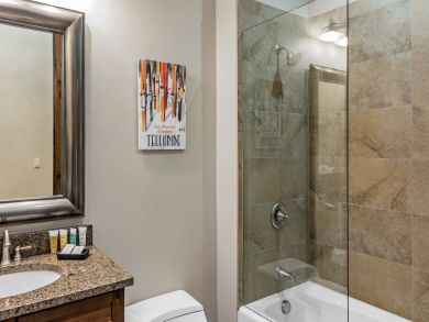 Telluride Condo 925590