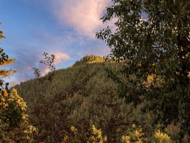 Aspen Home 925596