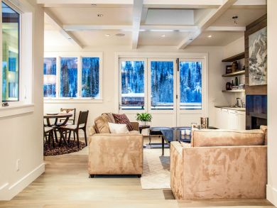 Telluride Condo 925623