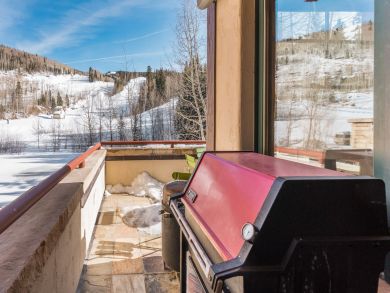 Telluride Home 925638