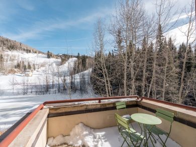 Telluride Home 925638