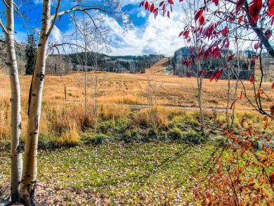 Beaver Creek Bachelor Gulch Home 925656 Beaver Creek Bachelor Gulch Home 925656