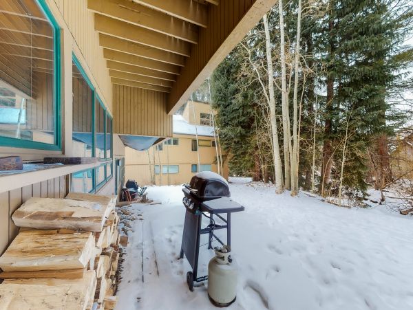 Vail One Bedroom Vacation Condo Rental Sleeps Four Guests