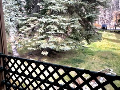 Vail Lionshead Condo 925686