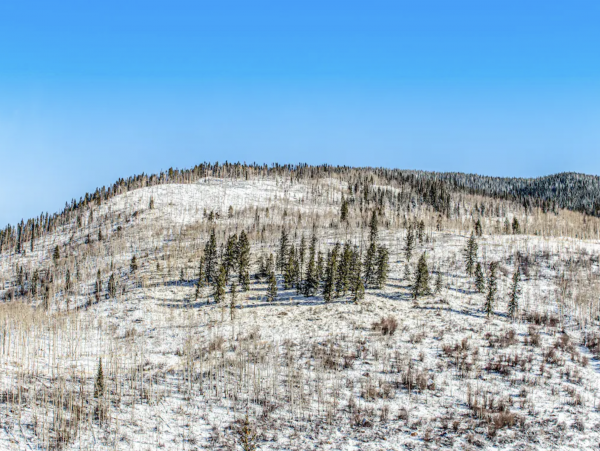 Beautiful Vail 3 Bedroom Condo Near Ski Shuttle