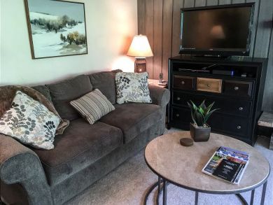 Vail Lionshead Condo 925694