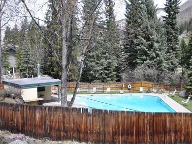 Vail Lionshead Condo 925694
