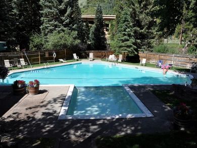 Vail Lionshead Condo 925697