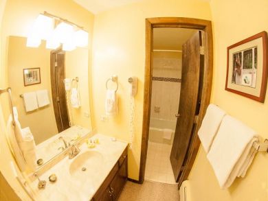 Vail Lionshead Condo 925697
