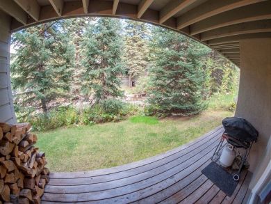Vail Lionshead Condo 925697