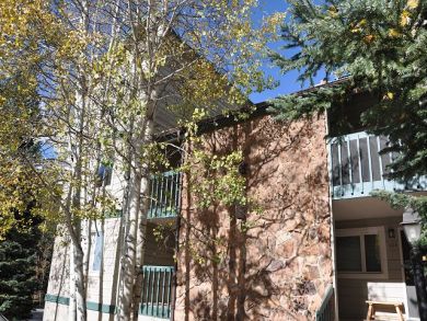 Vail Lionshead Condo 925697