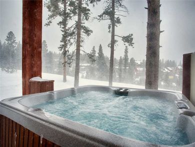 Ski in Ski out Townhome Ski in Ski out Townhome