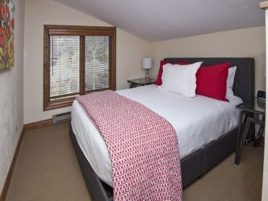 Mountain View Three Bedroom Ski Condo in Vail