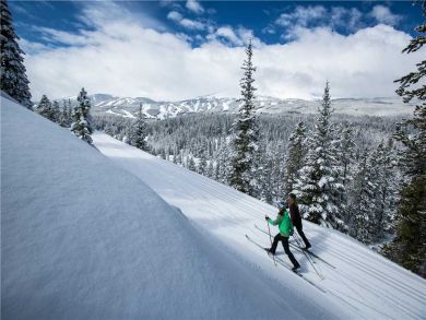 Breckenridge Home 925813