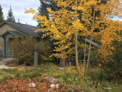 Breckenridge Home 925832