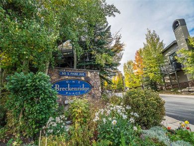 Breckenridge Home 925835