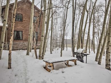 Winter Park Home 925874