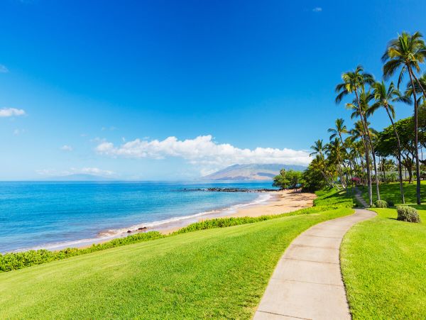 Wailea Gorgeous Three Bedroom Vacation Rental Sleeps 8