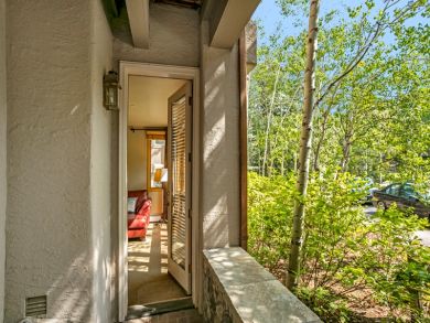 Beaver Creek Bachelor Gulch Home 925956