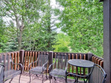 Beaver Creek Bachelor Gulch Home 925964