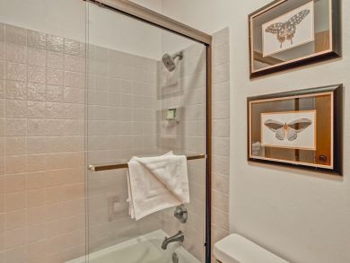 Beaver Creek Bachelor Gulch Home 925969