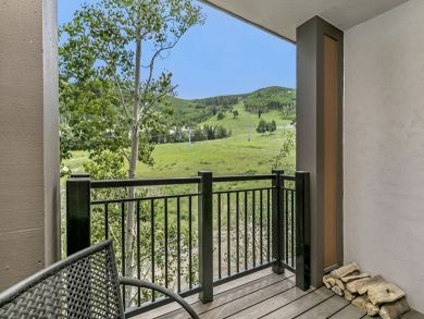 Beaver Creek Bachelor Gulch Home 926010