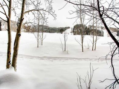 Beaver Creek Bachelor Gulch Home 926014
