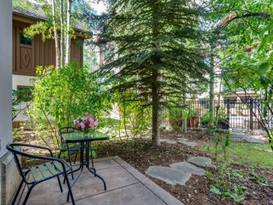 Beaver Creek Bachelor Gulch Home 926026