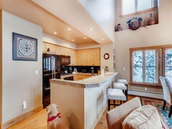 Ski in Ski out Beaver Creek Village Townhome