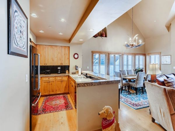 Ski in Ski out Beaver Creek Village Townhome