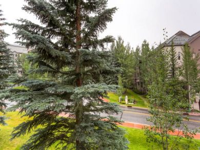 Beaver Creek Bachelor Gulch Home 926057