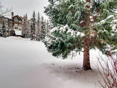Beaver Creek Bachelor Gulch Home 926061